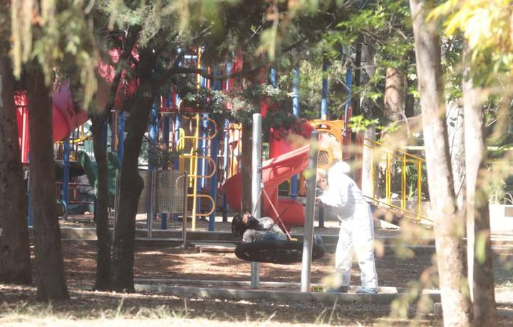 Encuentran a acuchillado en el Bosque de Chapultepec