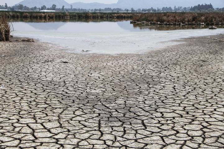 Los municipios del Estado de México y las alcaldías capitalinas que dependen del sistema Cutzamala cerrarán e l presente año con la peor crisis de sequía de los últimos cinco años. De acuerdo con datos del Organismo Cuenca Agu as del Valle de México, al cierre de diciembre de 2018 el nivel de almacenamiento de las tres presas que conforman el c omplejo hídrico era de 96.44%, en comparación con el 41.39% que se tiene actualmente. Las presas Villa Victoria, Valle  de Bravo y El Bosque no llegan ni a la mitad de la capacidad total del sistema Cutzamala, situación que golpea a miles  de familias de la zona conurbada, debido a la baja en el caudal que reciben municipios y alcaldías. Al corte del 25 de  diciembre, la presa Villa Victoria presentaba 30.55% de llenado, es decir, 56 mil 745 millones de metros cúbicos, cuan do su capacidad al 100% es de 185 mil 731 millones de metros cúbicos. La presa Valle de Bravo, en la misma fecha, tení a un acumulado de 46.40%, lo que represent