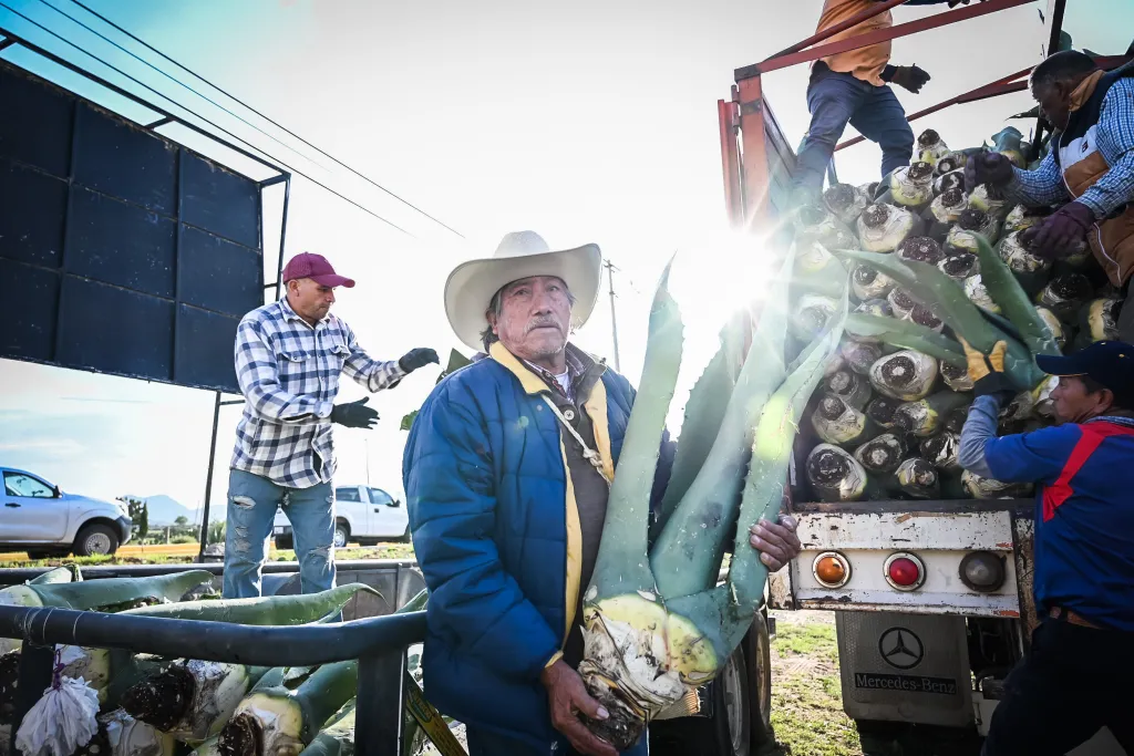 El Proyecto Beneficia a más de 600 productores del Altiplano y Valle del Mezquital Hidalgo