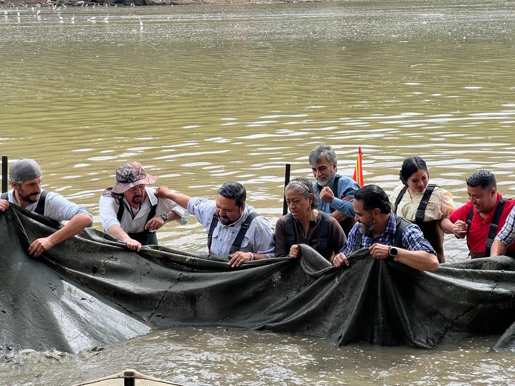 Secretaría del Campo en Edoméx, impulsa consumo de pescado, alimento altamente proteínico, con potencial econ ómico y para la salud