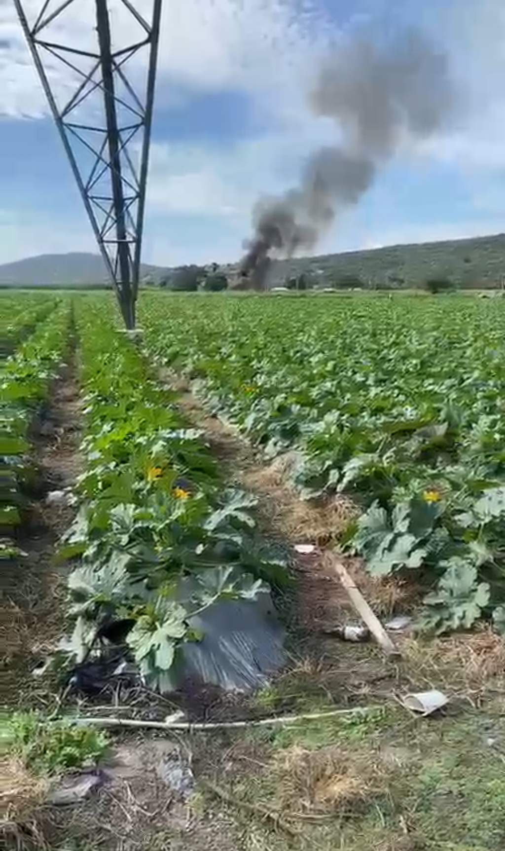 Pierden la vida Tres Personas al caer Helicóptero en Cuautla Morelos México este día