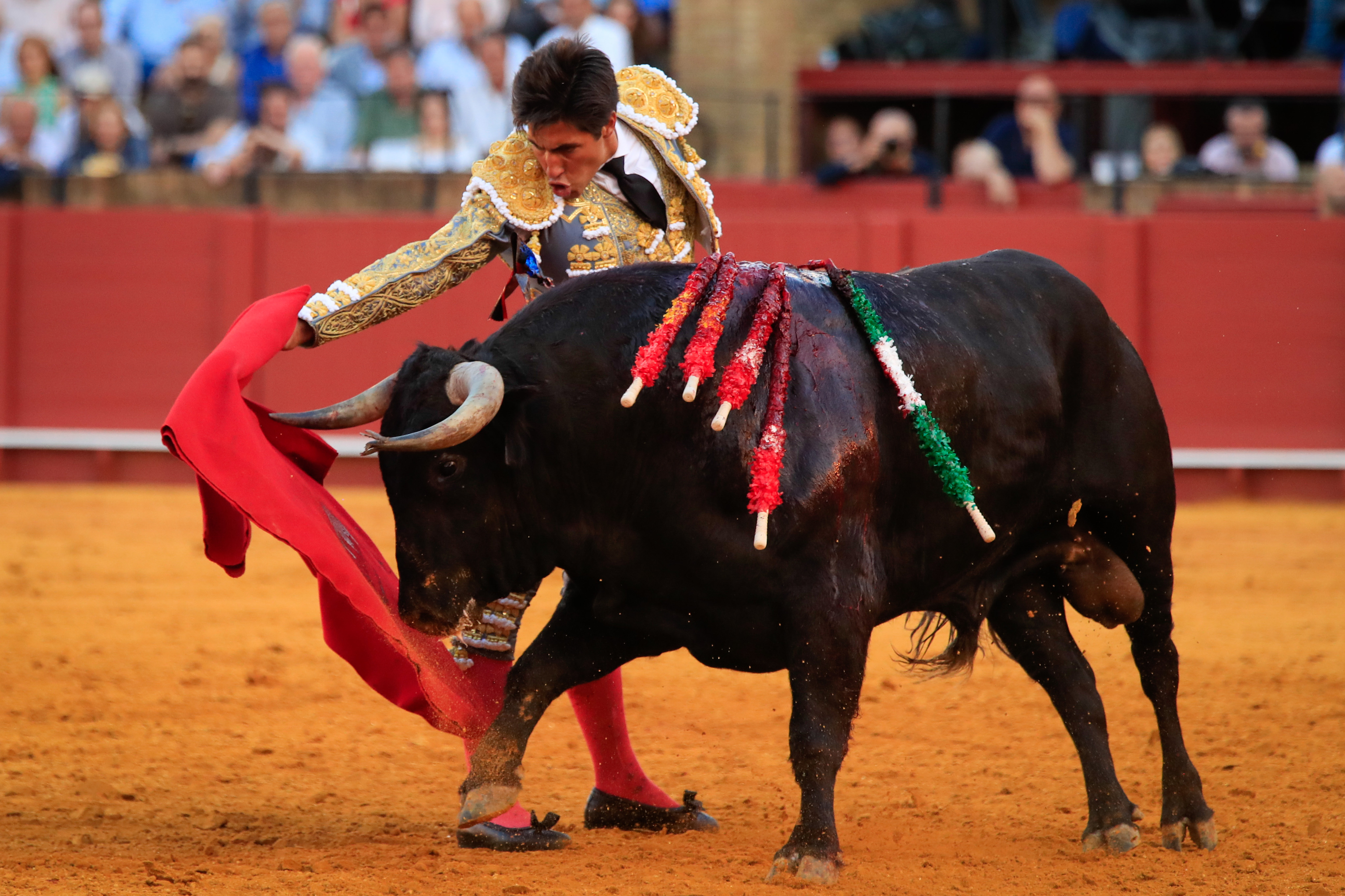 Colectivo emprende una nueva demanda contra la Corrida de Toros en la CDMX