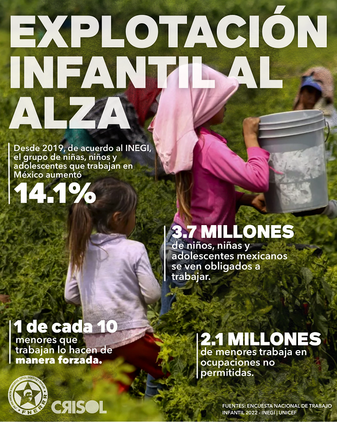Más de tres millones de niños, niñas y adolescentes son víctimas de explotación laboral en México: FNERRR