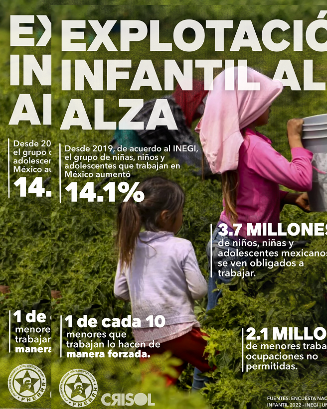 Más de tres millones de niños, niñas y adolescentes son víctimas de explotación laboral en México: FNERRR