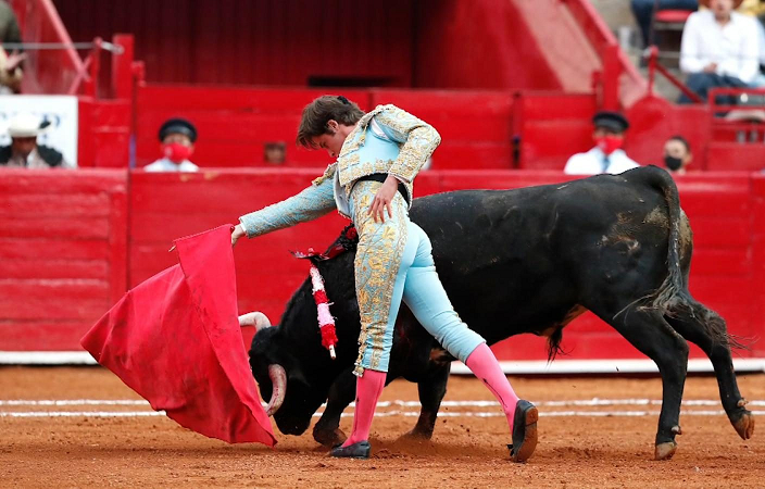 Juez rechaza otorgar amparo contra la corrida de toros, por lo que seguirán en la CDMX