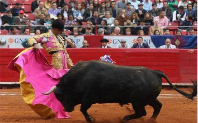 El Partido Verde insiste en desaparecer las Corridas de Toros en la CDMX