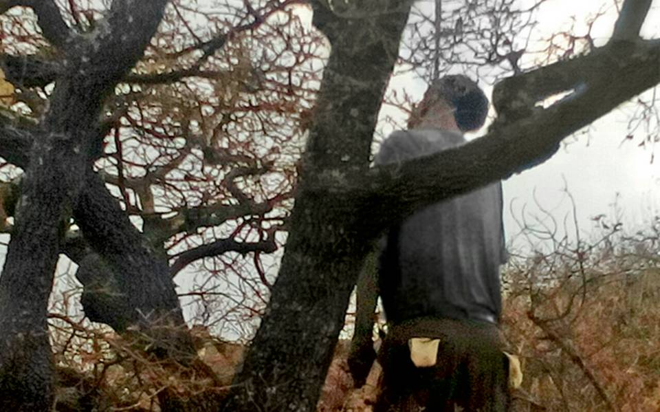 Encuentran el cadáver de un sujeto colgado en la rama de un árbol