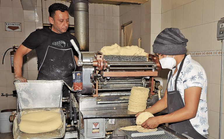 Analizan posible incremento al kilo de la tortilla en marzo de 2024