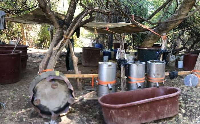 Desmantelan en Sonora el laboratorio clandestino de drogas más grande de Mexico