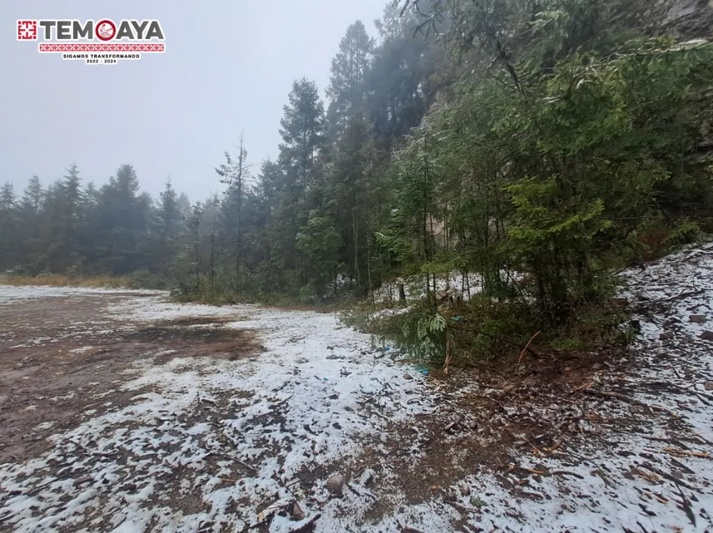 Este sábado se registró una caída de nieve por la mañana en la zona alta del municipio de Temoaya Edoméx