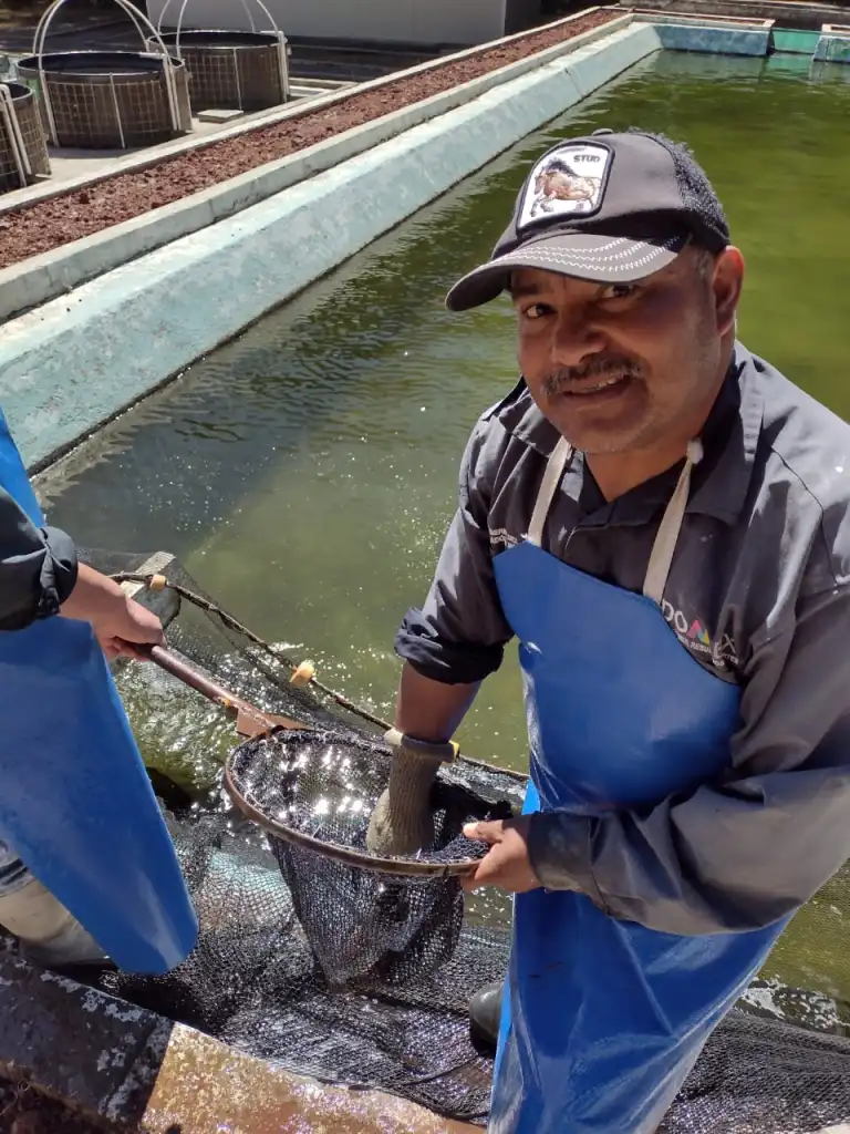 Mexiquenses consumirán 75 mil toneladas de pescado en Semana Santa: Secretaría del Campo