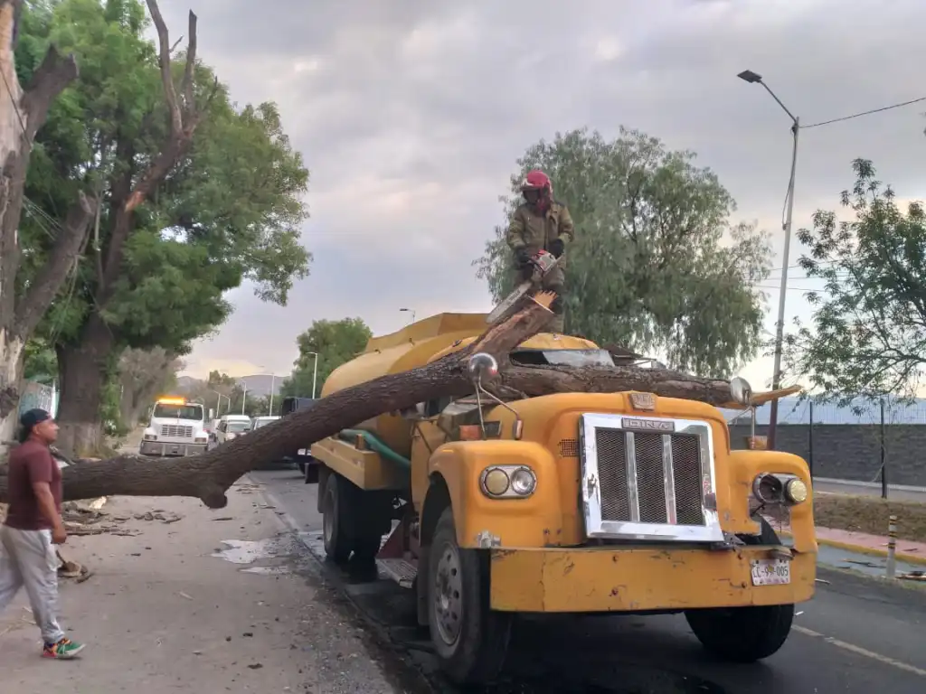 Cae En Texcoco Edoméx, Árbol cae sobre una pipa