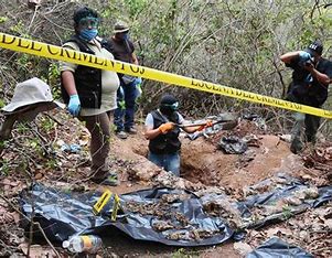 Jalisco el mayor cementerio clandestino del país, localizan dos nuevos crematorios clandestinos