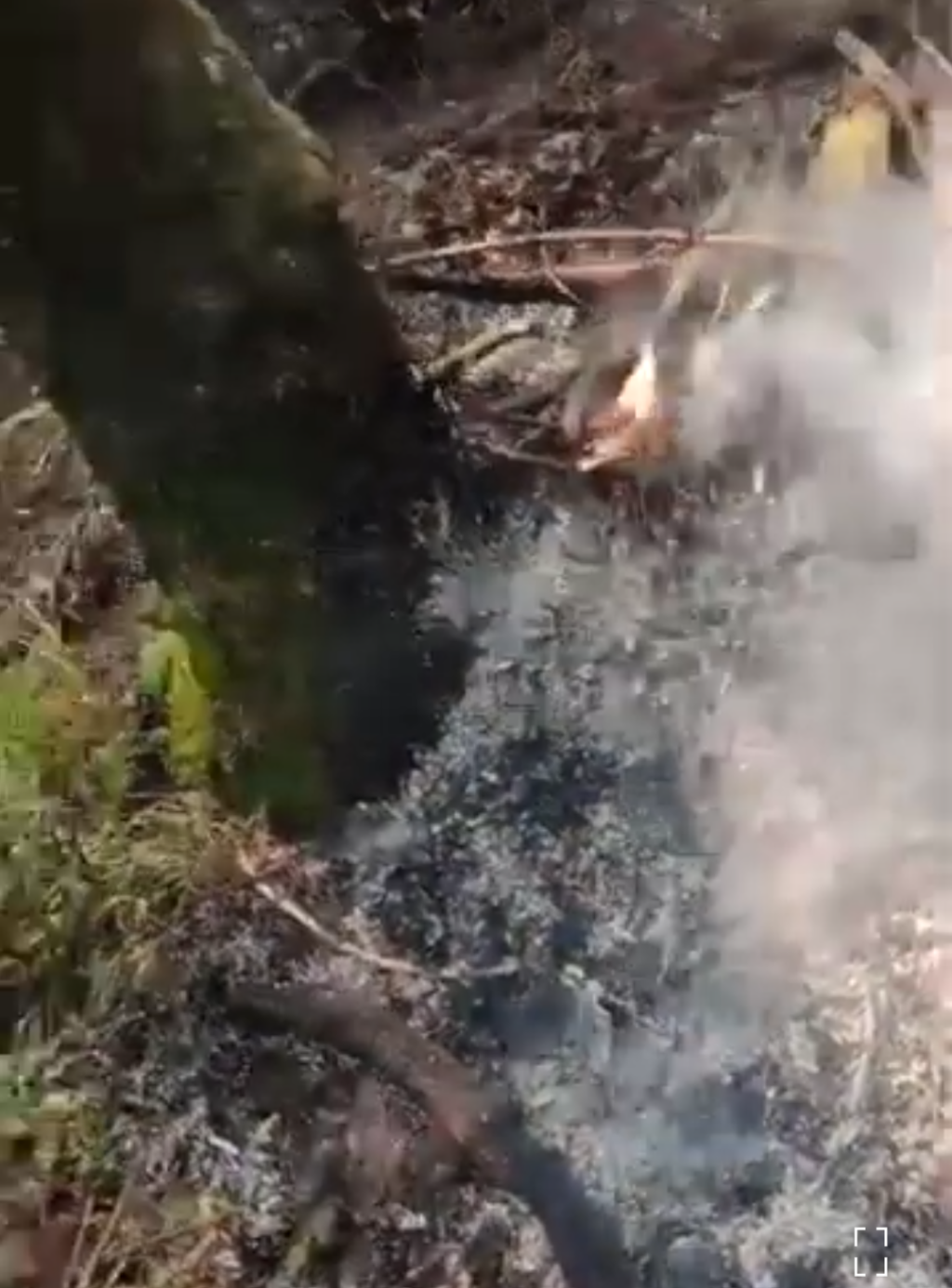 En Territorio Méxiquense, se combate el Incendio numero 18; Probosqué