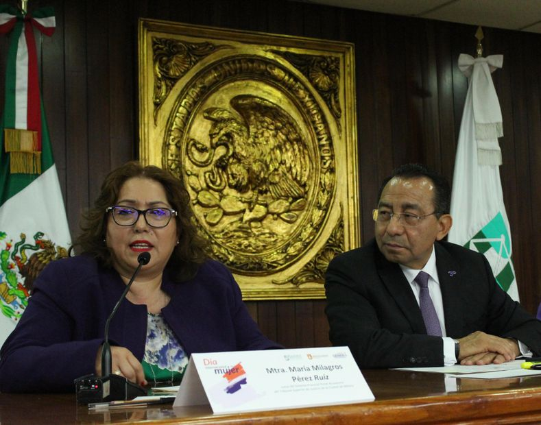 PJCDMX rechaza y combate la violencia, inequidad y discriminación contra las mujeres: Rafael Guerra Álvarez