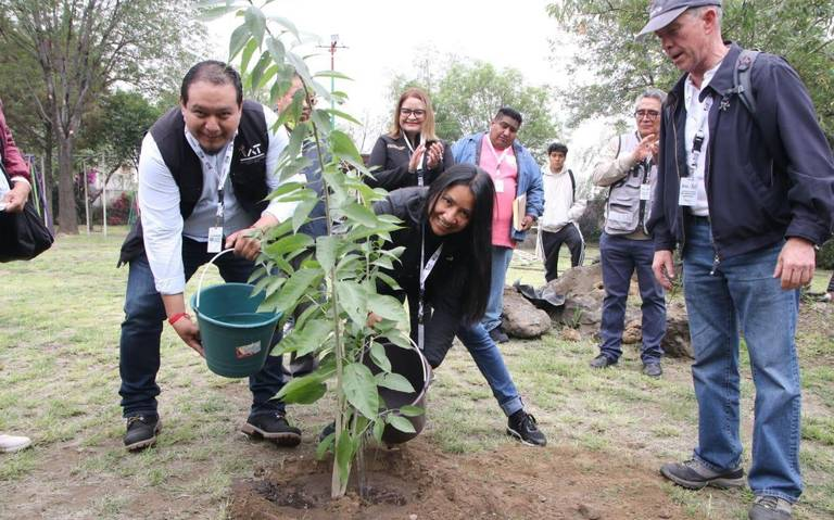Tlalpan fue elegida de nuevo como Ciudad del Árbol por tercer año consecutivo