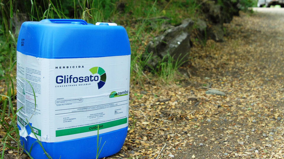 UMFFAAC advierte sobre crisis de productividad agrícola si se prohíbe el glisofato