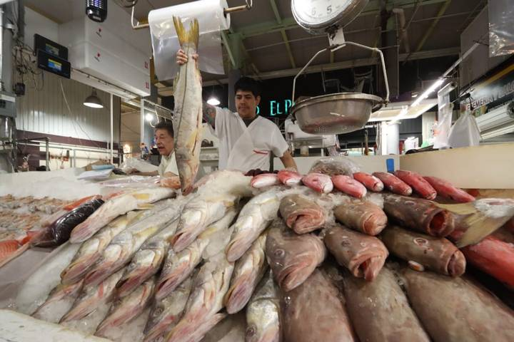 Mexicanos sufren por el incremento del 20% en pescados y mariscos: Anpec
