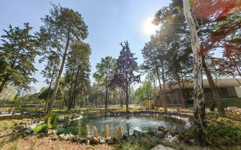 Congreso de la CDMX pugna por la Ley de Responsabilidad Ambiental