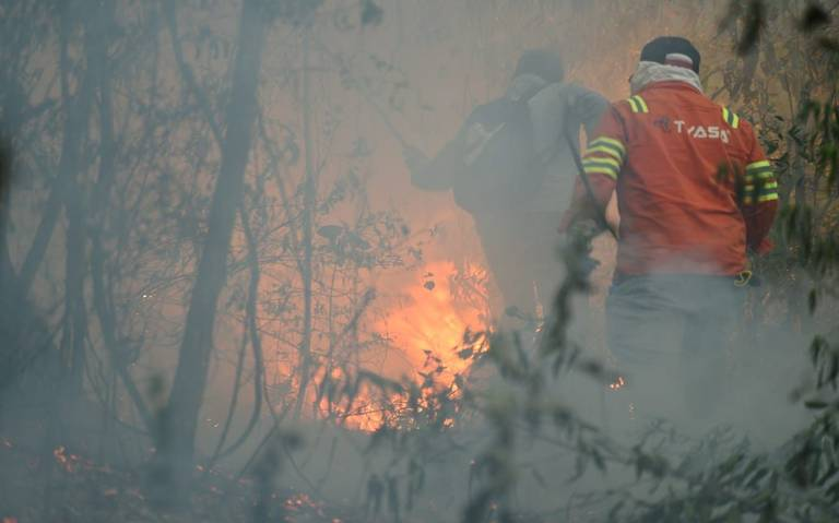 Incendios destruyen más de cuatro mil 179 hectáreas de bosque en el Edomex