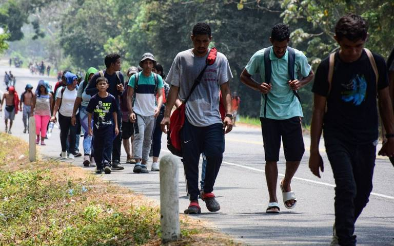 Implementarán el programa “Sembrando vidas” y “Juntos por el Bienestar” en Colombia y Ecuador pa ra evitar la migración
