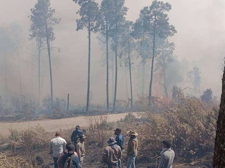 Ya son cinco muertos por incendios forestales en el Edomex