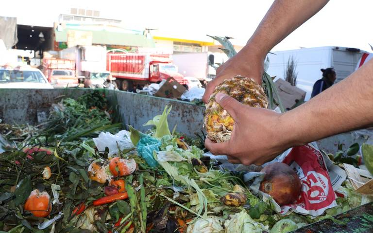 PNUMA advierte el desperdicio de una quinta parte de los alimentos producidos diariamente