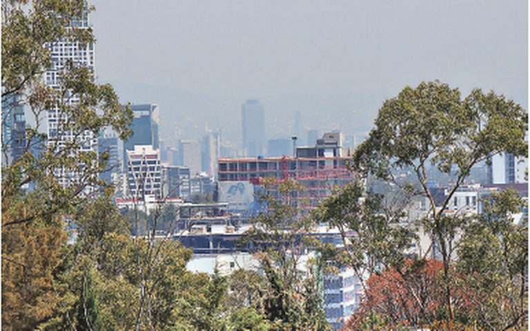 Pugnan para que la Ley castigue a quien dañe el medio ambiente en la CDMX