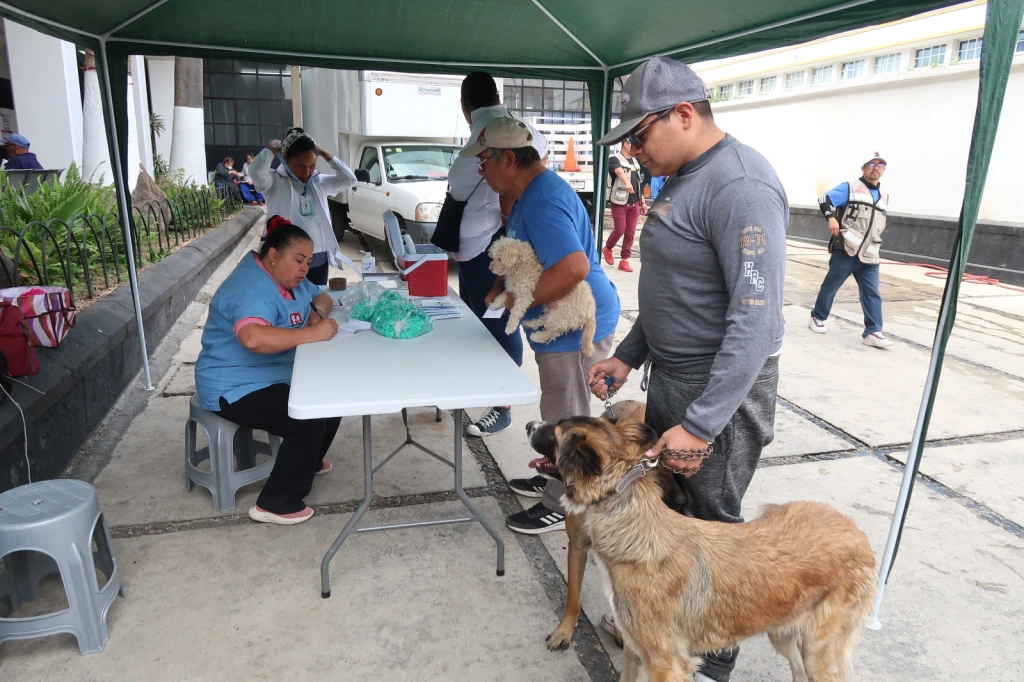 Participa en jornada nacional de vacunación canina y felina 2024 gobierno de Texcoco