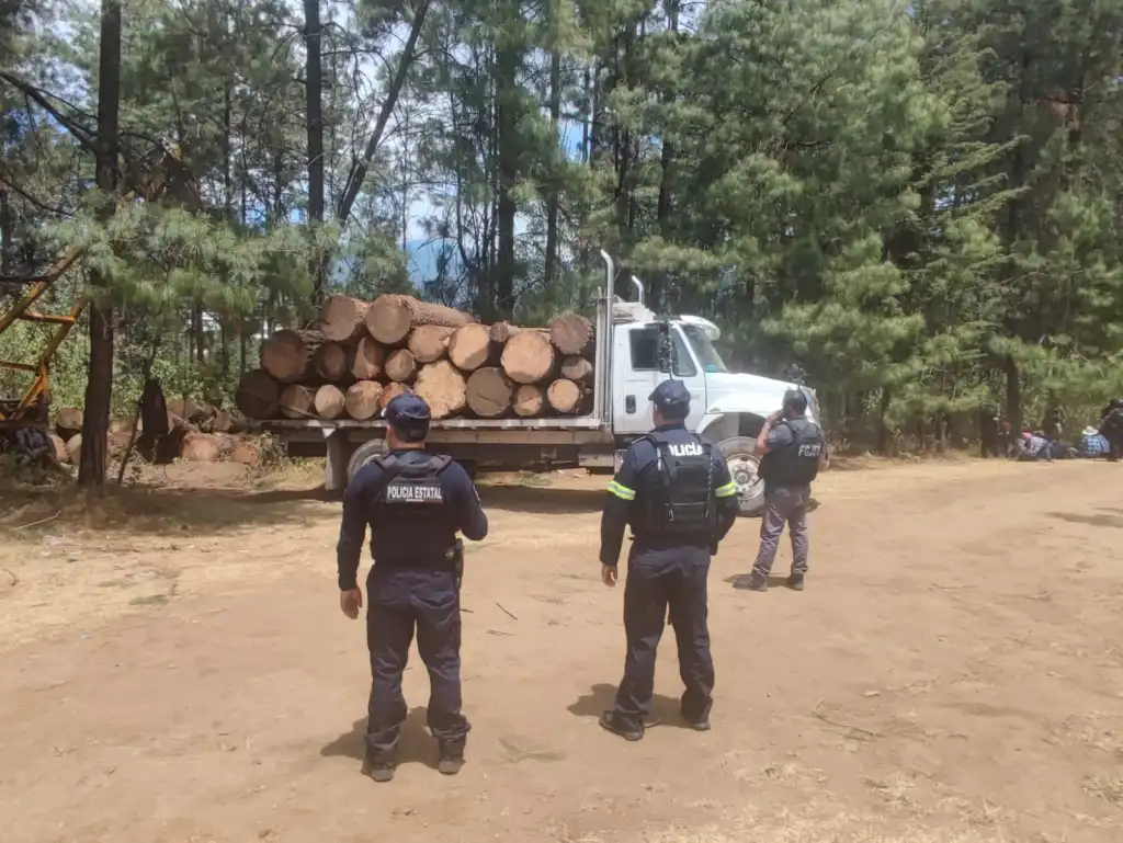 A Cuatro Sujetos acusan por tala Clandestina en Coatepec de Harinas Edoméx