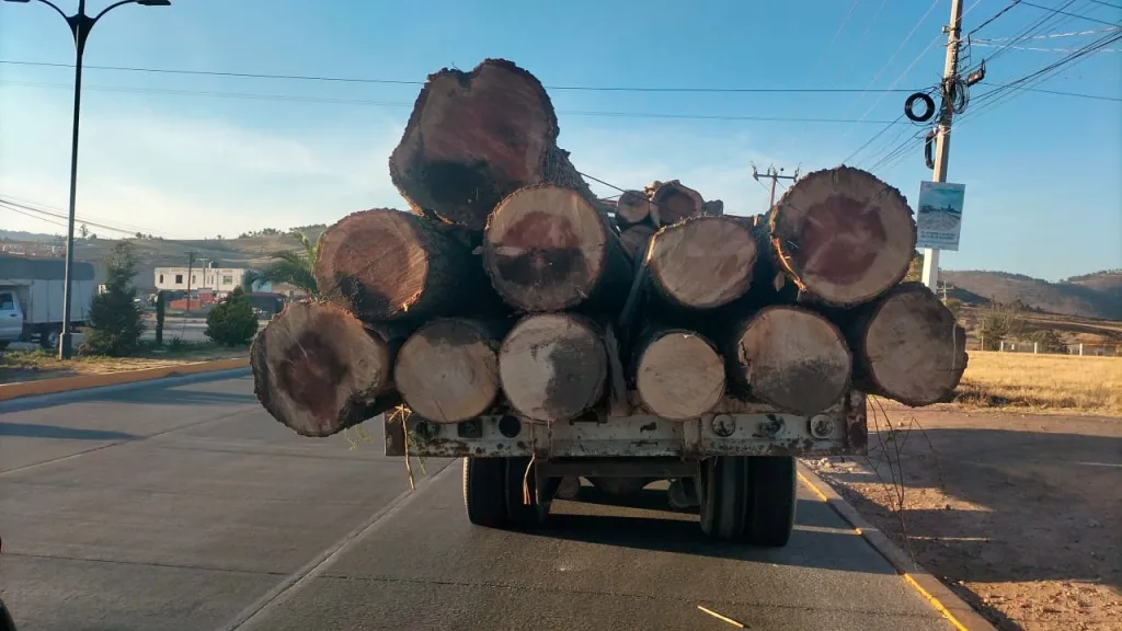 En San José del Rincón Edoméx detienen a dos Hombres que Transportaban Rollos de Madera de dudosa Procedencia