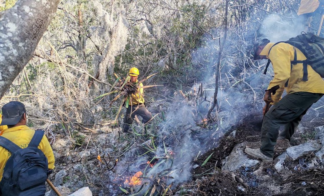Senadora del PRI exige a la Semarnat informe pormenorizado sobre acciones para combatir incendios forestale s en el país