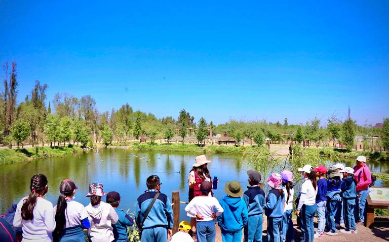 Urge concientizar a los niños en temas del medio ambiente y agua: Corenadr