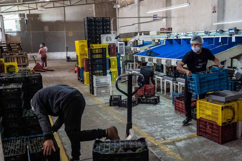 La economía se incrementó durante febrero al 2.6%