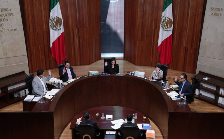 TEPJF defiende la libertad de expresión y no revisará libro de AMLO