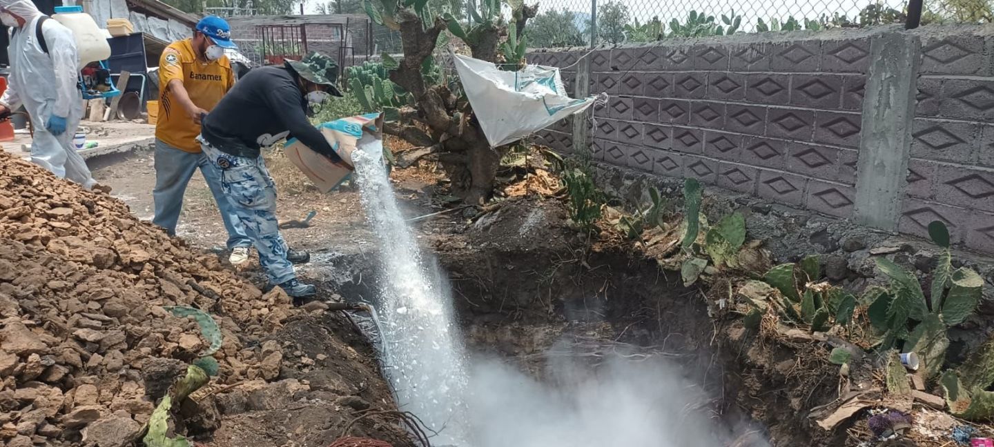 En el Edomex, Contienen brote de influenza aviar de bajo riesgo