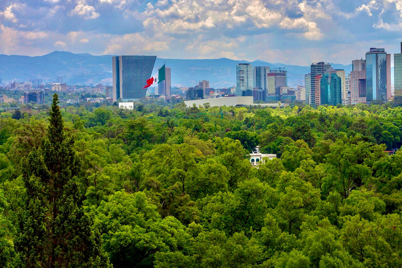 ONU exige que se castigue a delincuentes que cometan crímenes contra el medio ambiente