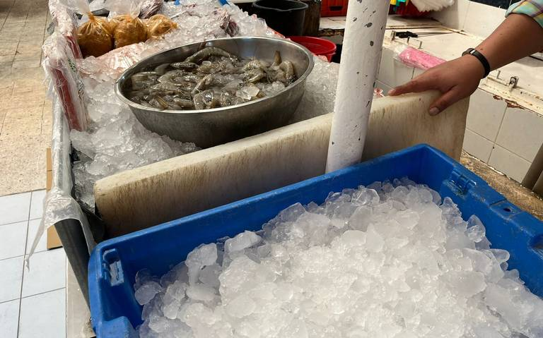 La CDMX ya no cuenta con hielo por la ola de calor