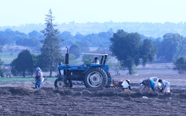 Alza en los combustibles impactará a toda la cadena productiva en el campo: CNC