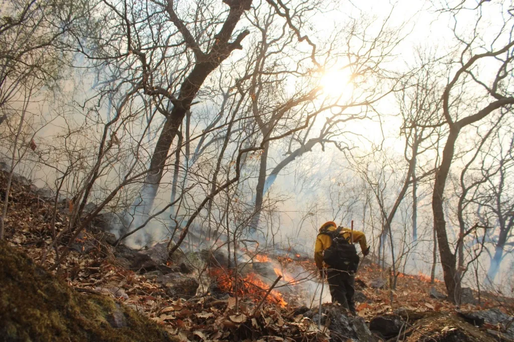 Afectan a Valle de Bravo Edoméx, nuevos incendios Forestales