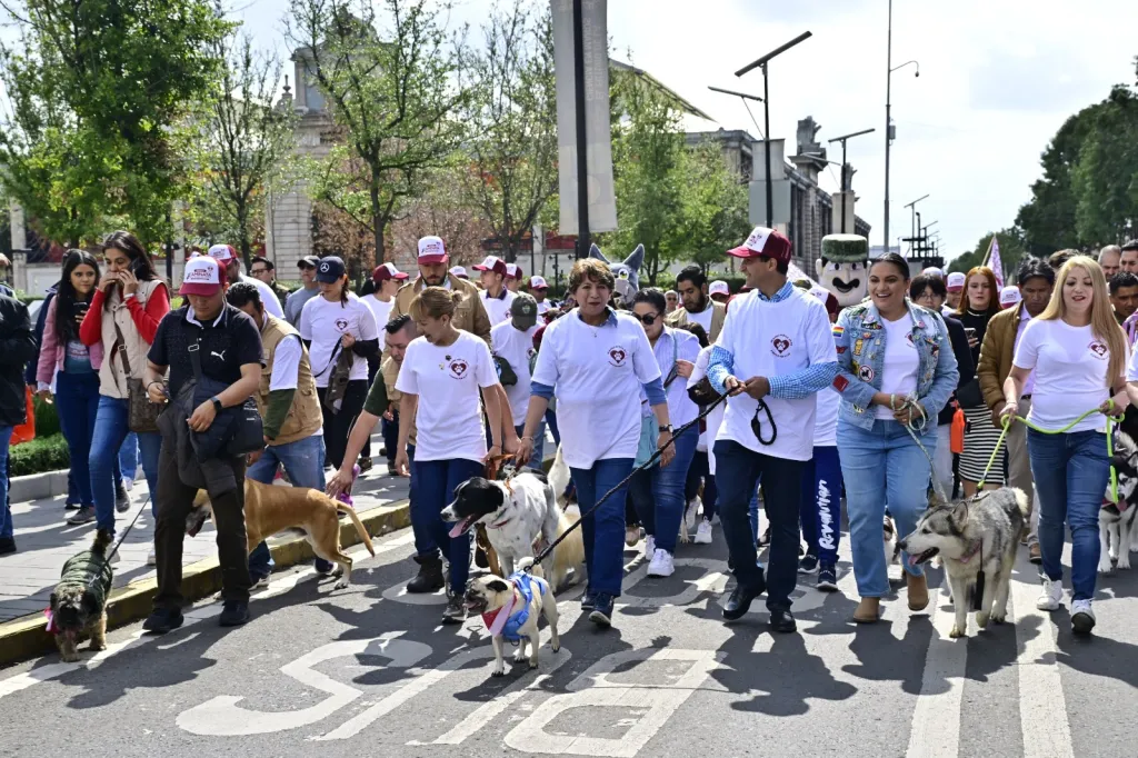Gobernadora Delfina Gómez Álvarez promueve el bienestar animal con caminata y caravanas de atención a mascota s y animales en situación de calle