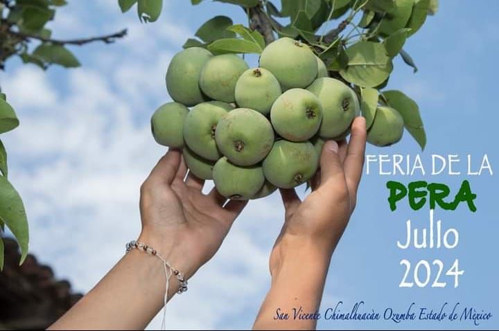 En el municipio de Ozumba Edoméx, Celebran «Feria de la Pera»