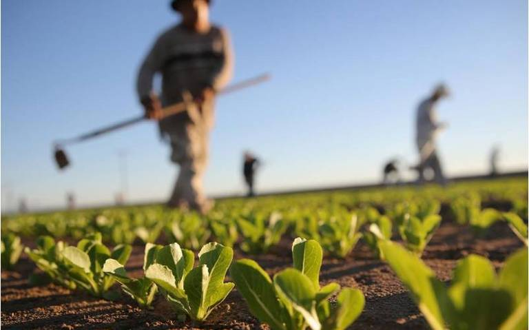 Hay que aprovechar la regeneración de la agricultura para los nutrientes