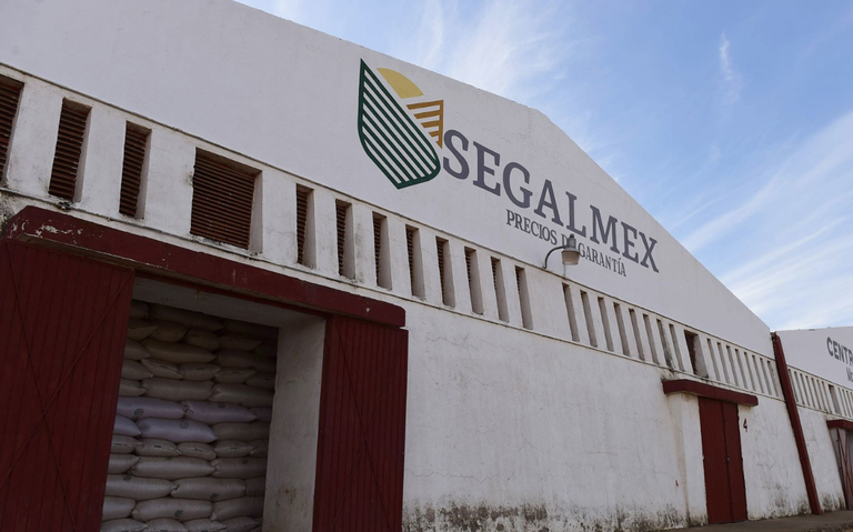 Segalmex es la mancha que me llevó: AMLO