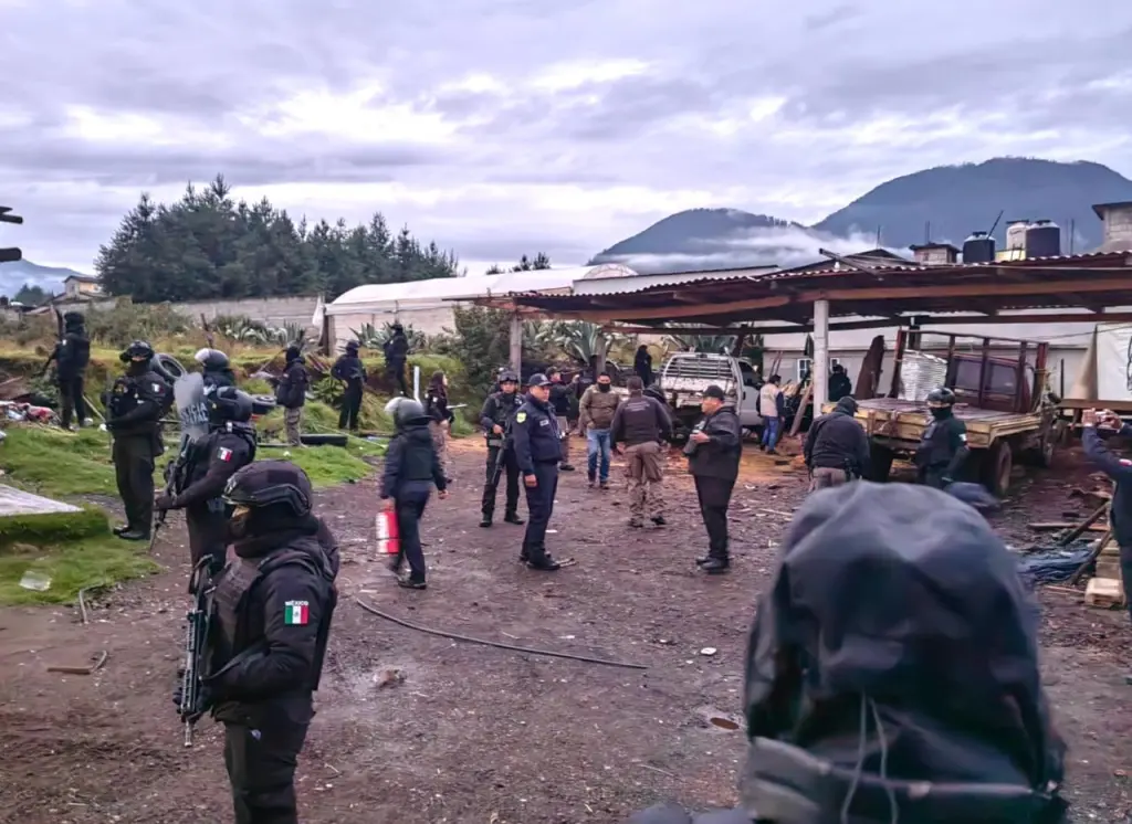 La Gobernadora Delfina Gómez instruye operativo contra la tala clandestina en zona sur del Edoméx