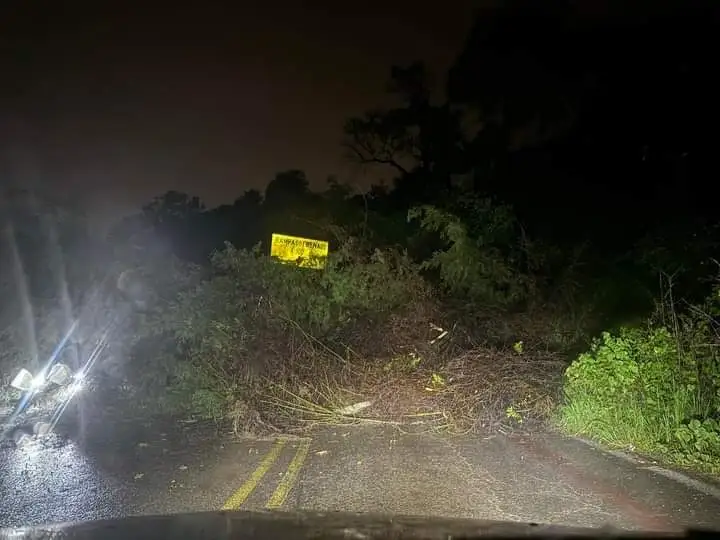 Conductores atención Árbol Caído Cierra la Carretera Tenancingo – Tenango en Edomex, Use Rutas Alternas