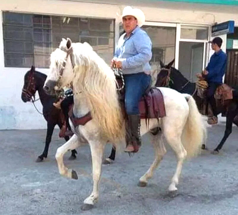 Cae “El Ranchero”, uno de los responsables de desaparición de los 43 normalistas en Iguala