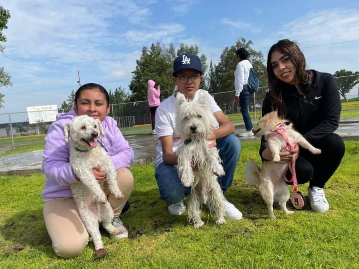 El Gobiernode Tecáma Edoméx, conmemora el día del perro y realizó «caminata perruna»