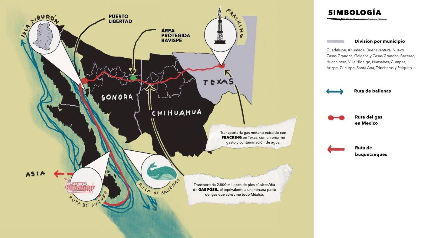 Amenaza Megaproyecto de Gas directamente a las ballenas y a la biodiversidad en las aguas mexicanas del Golfo de  California México
