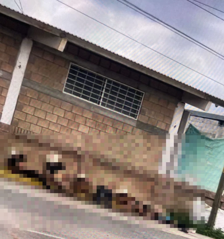 Hallan cinco cuerpos sin vida ocalizan a frente al Parque Acuático al.sur de Culiacan